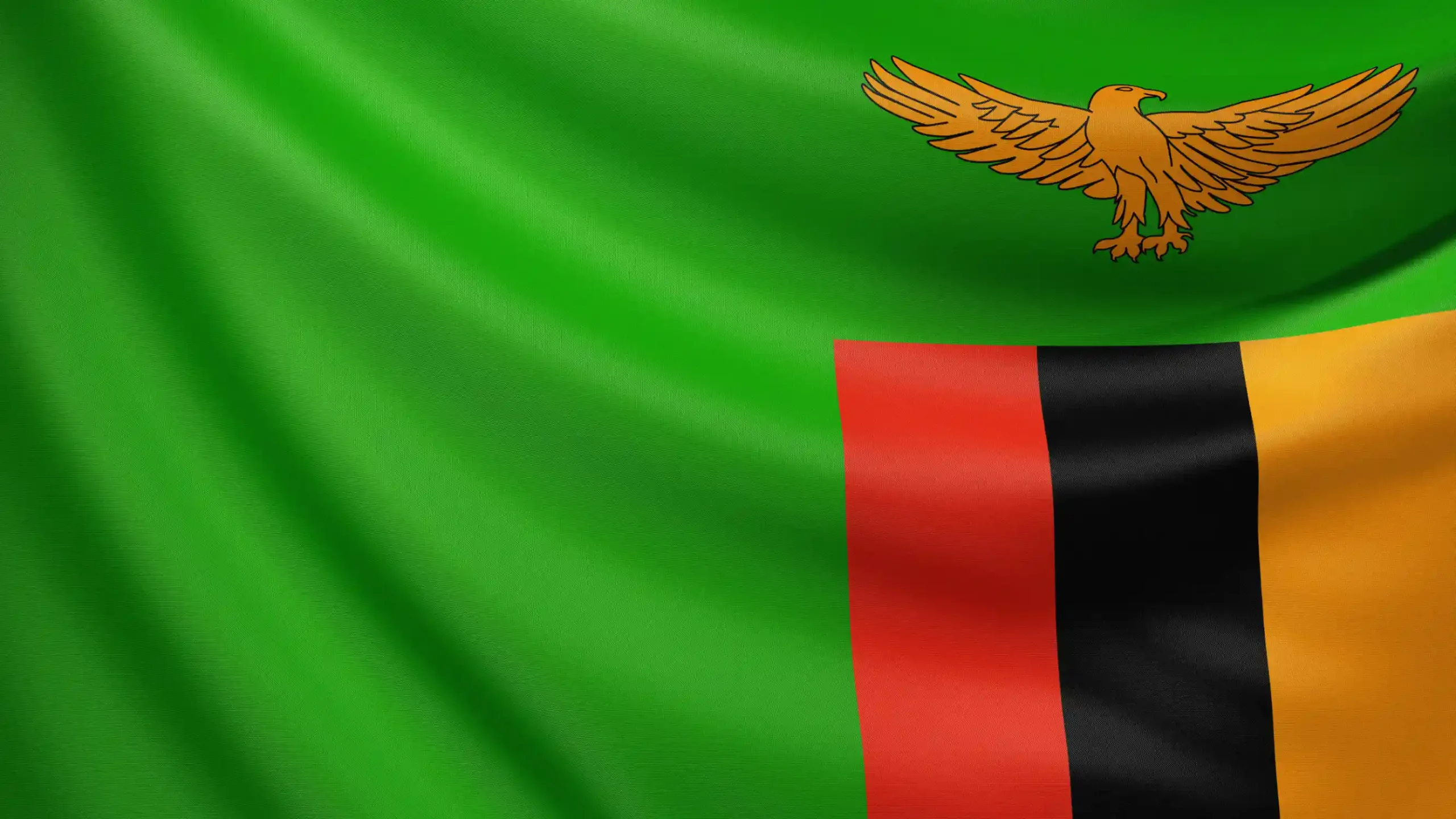 The flag of zambia